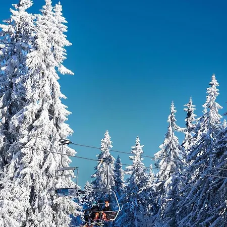 Cedar Heights * Pamporovo
