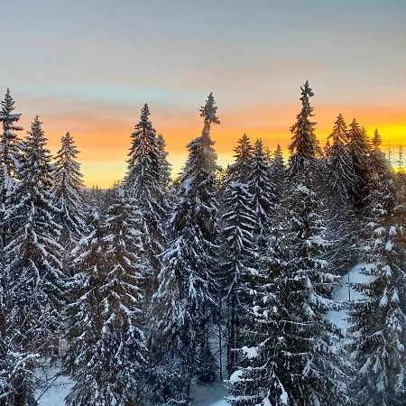 Cedar Heights Pamporovo