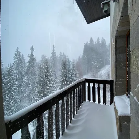 Apartment Cedar Heights Pamporovo