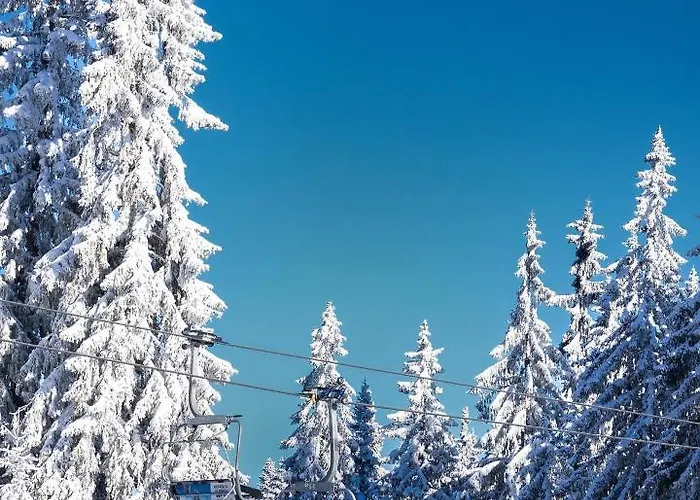 Cedar Heights 2 * Pamporovo