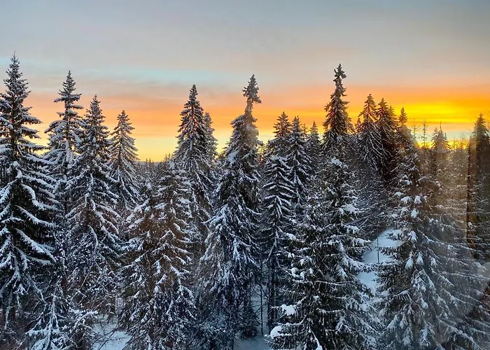 Cedar Heights 2 Pamporovo