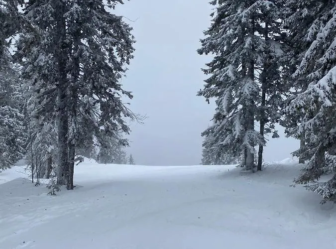 Cedar Heights 2 * Pamporovo