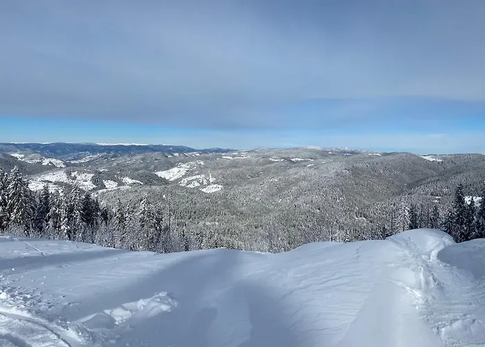 Cedar Heights 2 Lägenhet Pamporovo