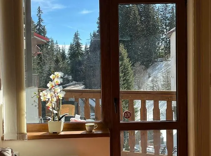 Apartment Cedar Heights 2 *